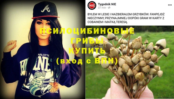 кокс Алексин